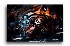 Постер 1361 "Тигр на отдыхе"