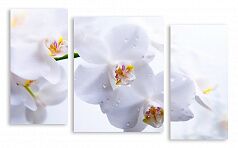Модульная картина 2910 "Белые орхидеи"