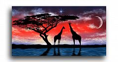 Постер 315 "Жирафы на закате"