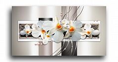Постер 4858 "Орхидеи в серебре"