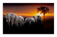 Постер 3254 "Слоны"