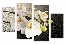 Модульная картина 2155 "Белые орхидеи"