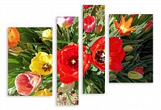 Модульная картина 3598 "Весенние тюльпаны"