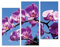 Модульная картина 90 "Сиреневые орхидеи"