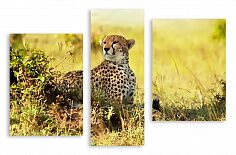 Модульная картина 2469 "Хитрый леопард"