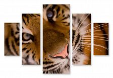Модульная картина 1358 "Взгляд тигра"