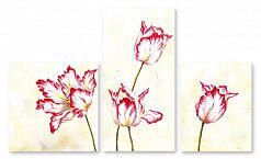 Модульная картина 1459 "Махровые тюльпаны"