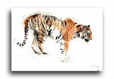 Постер 1146 "Крадущийся тигр"