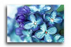Постер 245 "Голубые цветы"