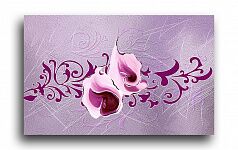 Постер 4260 "Розово-фиолетовые каллы"