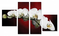 Модульная картина 185 "Орхидея"