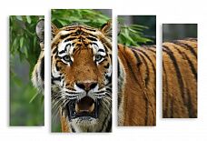Модульная картина 2783 "Грозный тигр"