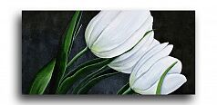 Постер 928 "Белые тюльпаны"