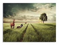 Постер 423 "Лошади на поляне"