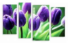 Модульная картина 2923 "Фиолетовые тюльпаны"