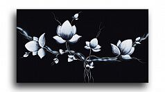 Постер 529 "Чёрно-белые цветы"