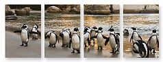 Модульная картина 281 "Пингвины"
