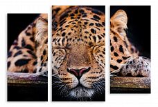 Модульная картина 3400 "Спящий леопард"
