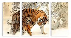 Модульная картина 2610 "Тигрица с тигренком"