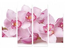Модульная картина 231 "Розовые орхидеи"