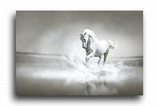 Постер 1160 "Волшебная лошадь"