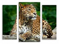 Модульная картина 2707 "Леопард"