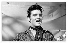 Постер 657 "Elvis"