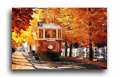 Постер 2233 "Осенний трамвай"