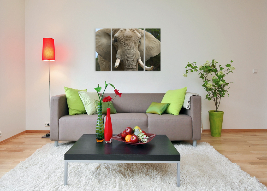 Модульная картина 1406 "Гордый слон" фото 4