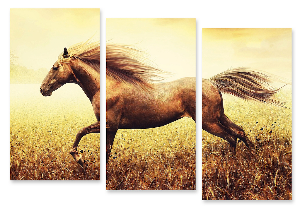 Модульная картина 53 "Бегущая лошадь" фото 1