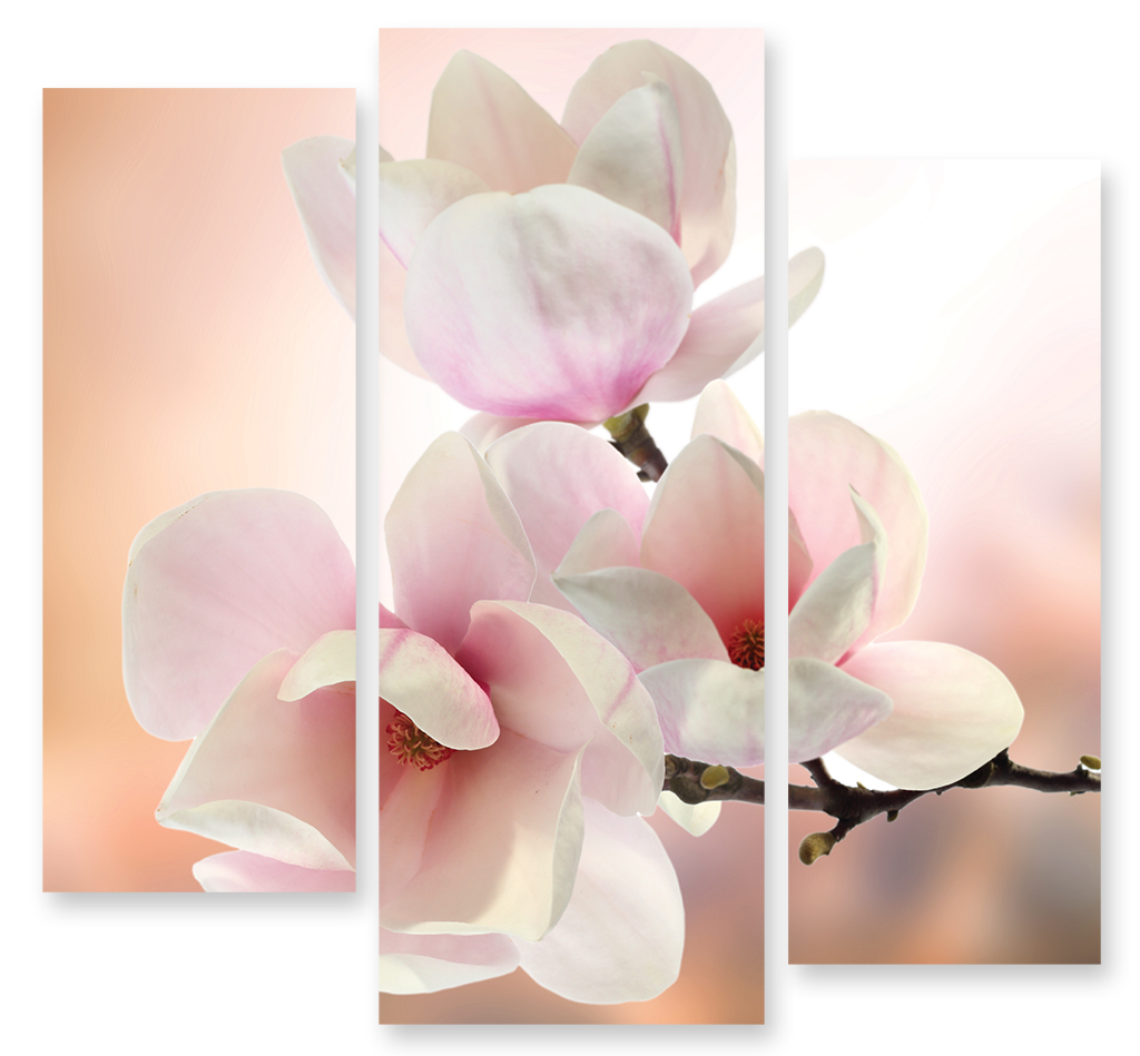 Модульная картина 288 "Весенние цветы" фото 1