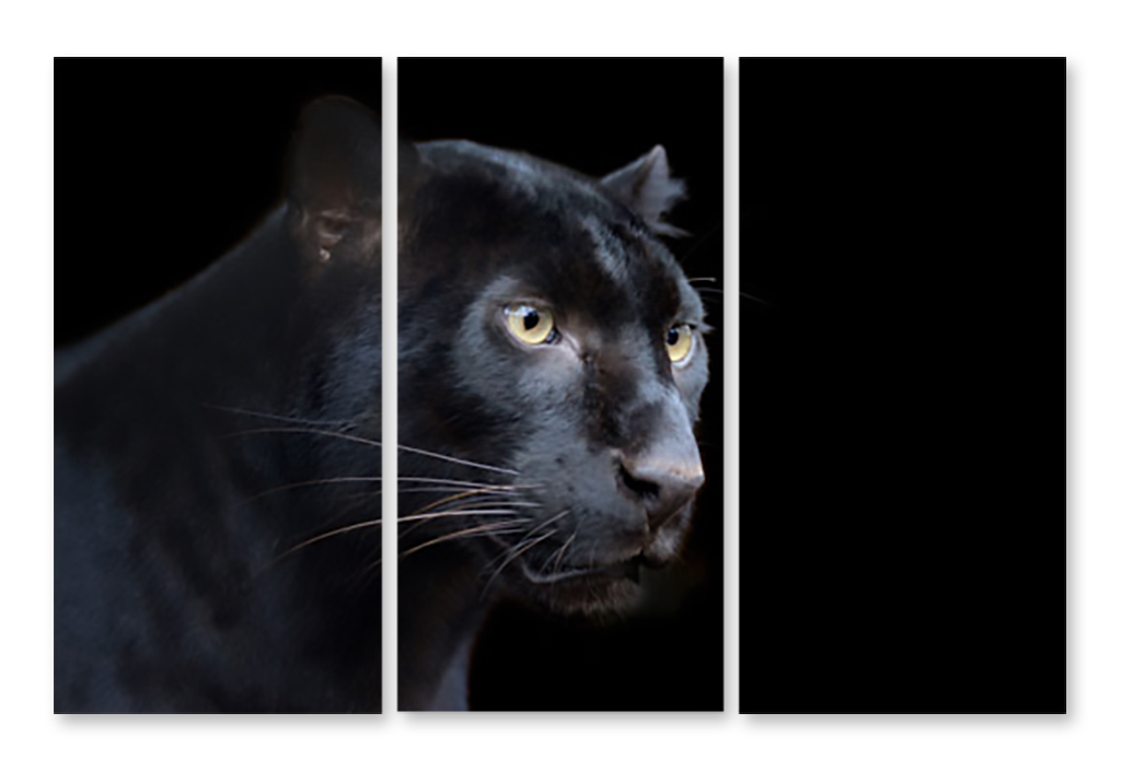 Модульная картина 1376 Черная пантера – фото в интерьере | Купить, цена 9  220 руб.