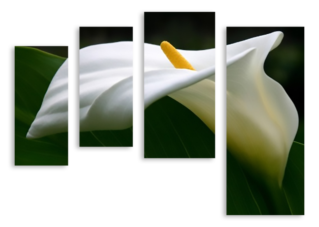 Модульная картина 2672 "Белый цветок" фото 1
