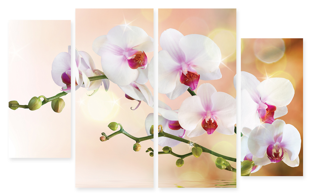 Модульная картина 210 "Орхидеи на воде" фото 1