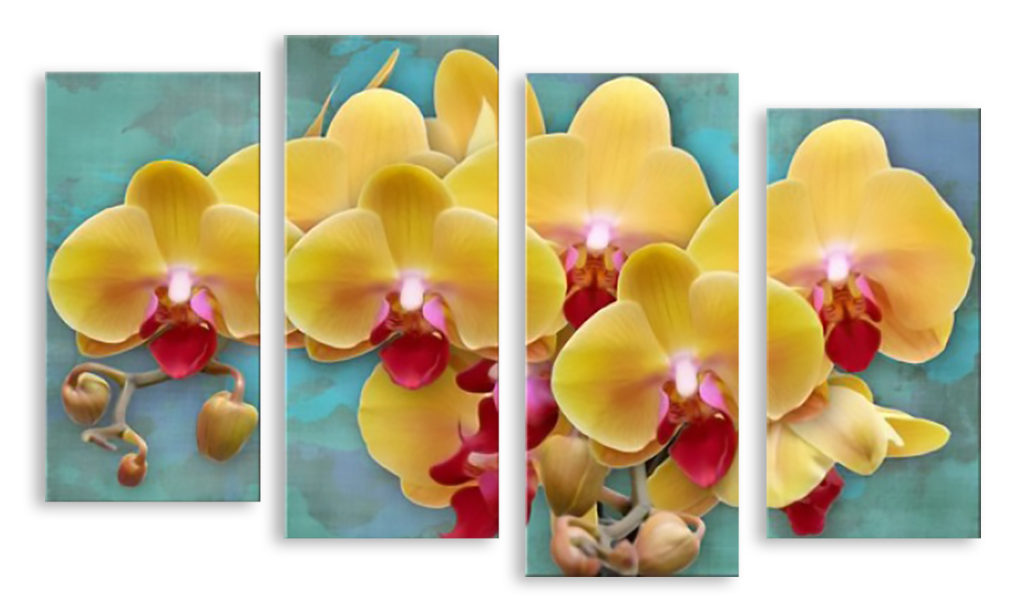 Желтые орхидеи: изображения без лицензионных платежей