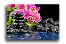 Постер 38 "Камни и орхидея"