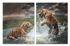 Модульная картина 216 "Тигры"