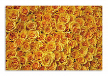 Постер 3349 "Миллион роз"