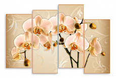Модульная картина 4666 "Нежно-оранжевые орхидеи"