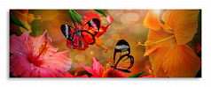 Постер 3594 "Бабочки"