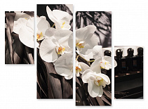 Модульная картина 230 "Белые орхидеи"
