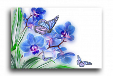 Постер 1308 "Бабочки в орхидее"