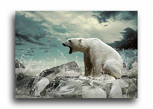 Постер 217 "Белый медведь"