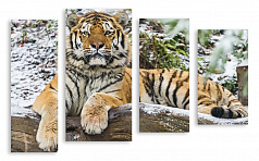 Модульная картина 2820 "Тигр"