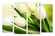 Модульная картина 1814 "Белые тюльпаны"