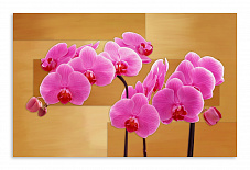 Постер 3185 "Розовые орхидеи"