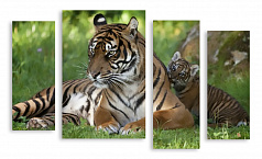 Модульная картина 3252 "Тигрица с тигренком"
