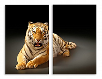 Модульная картина 2660 "Тигр"