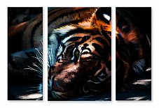 Модульная картина 1361 "Тигр на отдыхе"