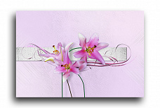Постер 5157 "Фиолетово-розовые лилии"